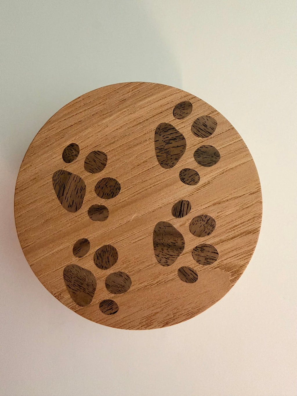 Wall Hook CAT'S PAW