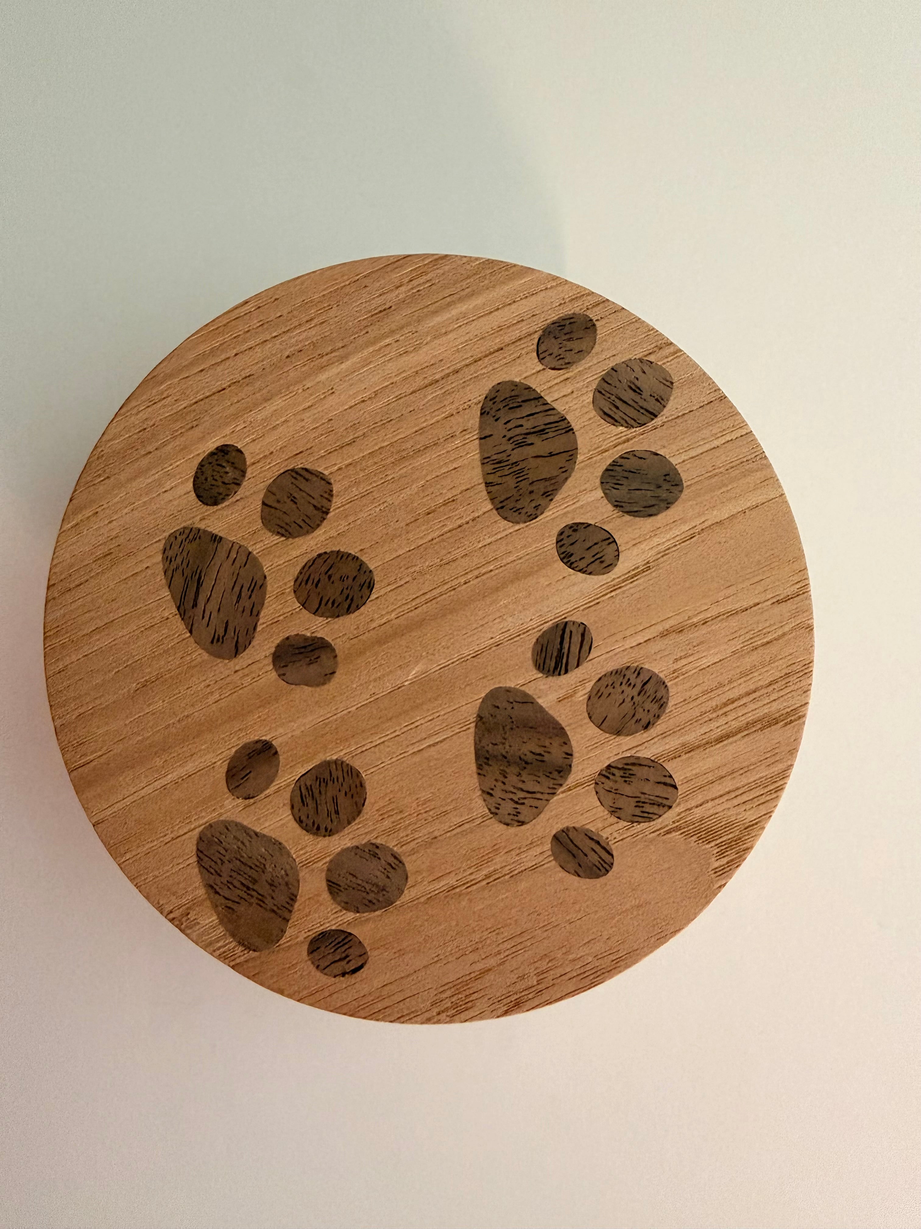Wall Hook CAT'S PAW